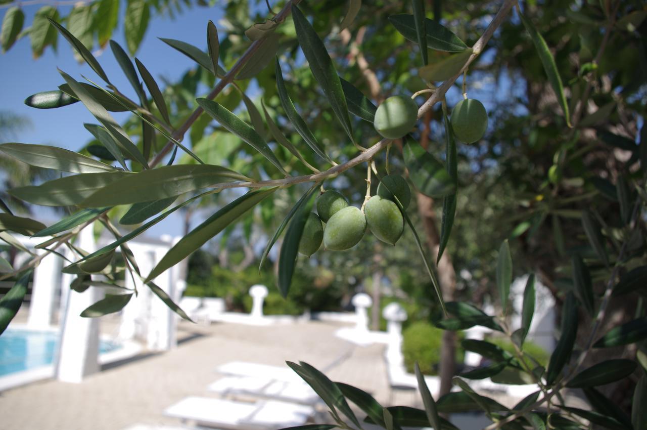 Hotel Nicolaj Polignano a Mare Esterno foto