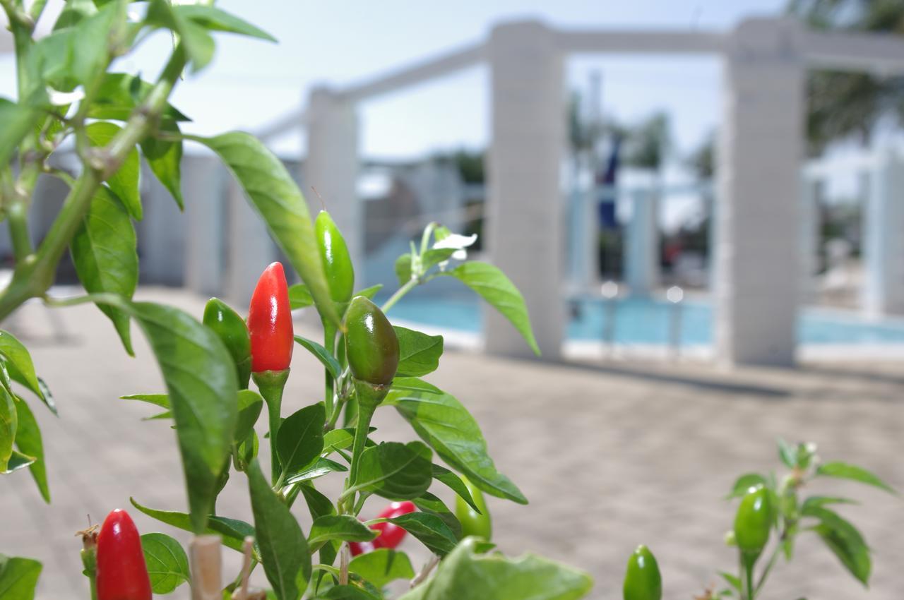Hotel Nicolaj Polignano a Mare Esterno foto